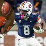 InShot_20260416_014316211